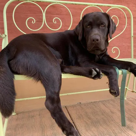 Resta & Dependance Penzion 4*