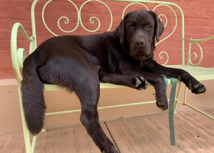 Resta & Dependance Casa de hóspedes 4*